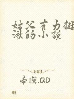 姑父有力挺送徐湫的小说