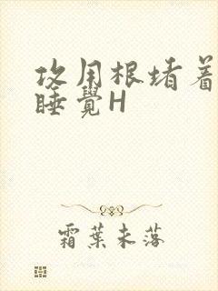 攻用根堵着小受睡觉H