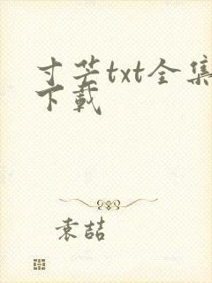 寸芒txt全集下载