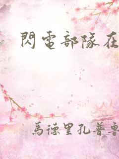 闪电部队在行动