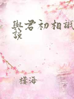 与君初相识 小说