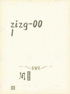 zizg-001