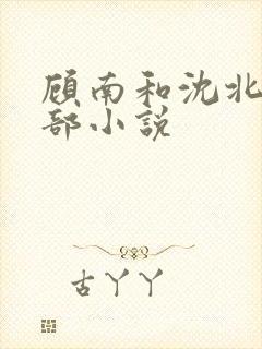 顾南和沈北是哪部小说