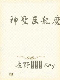 神圣巨龙魔法师