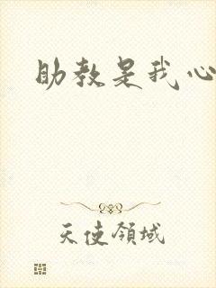 助教是我心尖宠