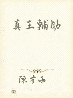真王辅助