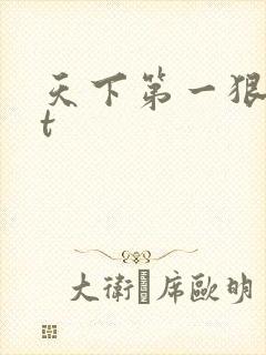 天下第一狠txt