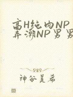 高H纯肉NP 弄潮NP男男
