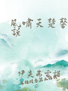 风啸天楚馨月小说