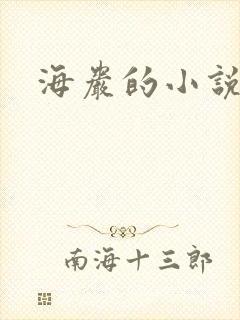 海岩的小说