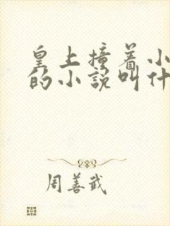 皇上撞着小公主的小说叫什么