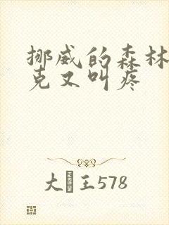 挪威的森林打扑克又叫疼