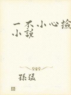 一不小心捡到爱小说