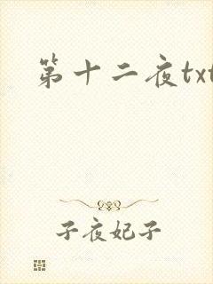 第十二夜txt