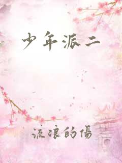 少年派二