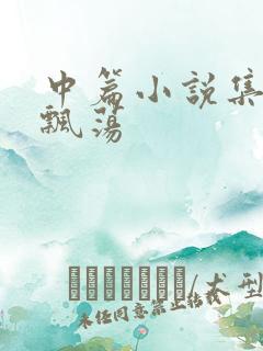 中篇小说集随风飘荡