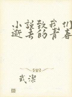 小说致我们终将逝去的青春