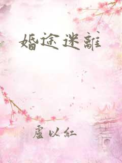 婚途迷离