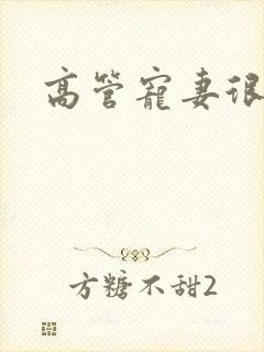 高管宠妻很丰满