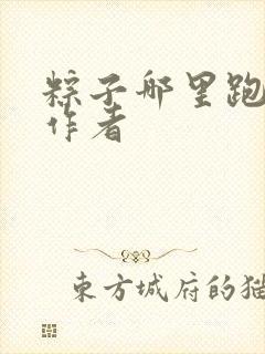 粽子哪里跑小说作者