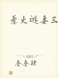 惹火逃妻三带一