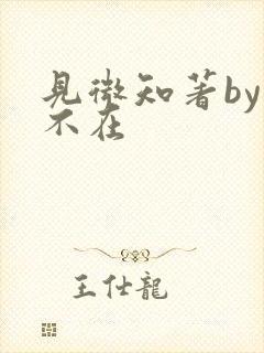 见微知著by音不在