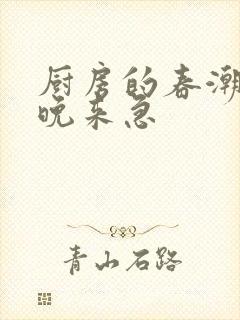 厨房的春潮带雨晚来急