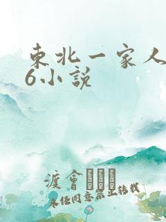 东北一家人1一6小说