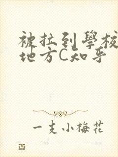 被拉到学校没人地方C知乎