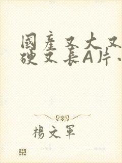 国产又大又粗又硬又长A片小说