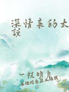 深情来的太迟小说