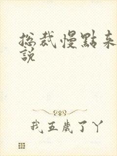 总裁慢点来 小说