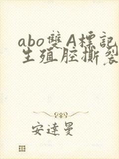 abo双A标记生殖腔撕裂