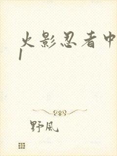 火影忍者中文网1
