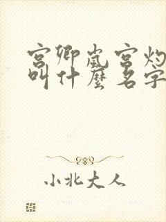 宫卿岚宫灼小说叫什么名字