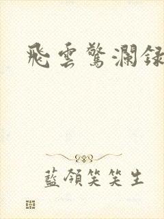 飞云惊澜录