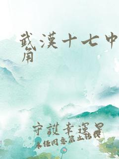 武汉十七中女主角