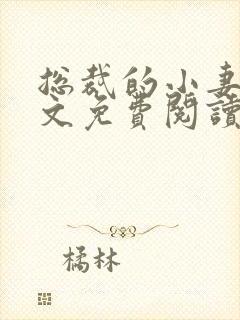 总裁的小妻子全文免费阅读