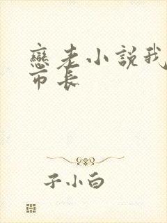 恋老小说我和老市长