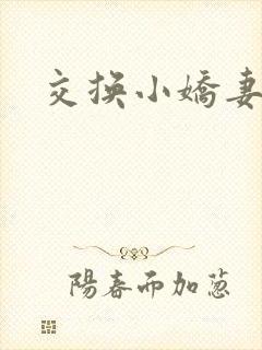 交换小娇妻互换