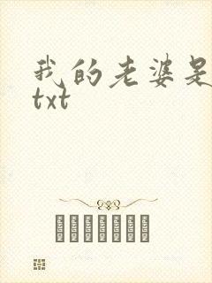 我的老婆是警察txt