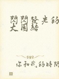 闪闪发光的小说大团结