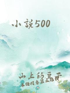 小说500