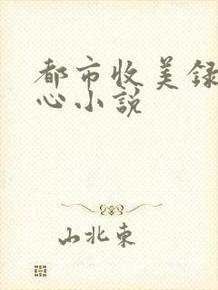 都市收美录宁素心小说