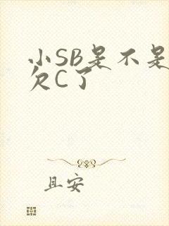 小SB是不是又欠C了