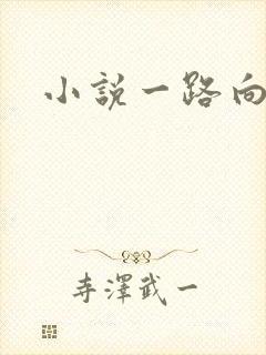 小说一路向西