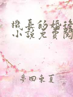 机长的婚后日常小说免费阅读