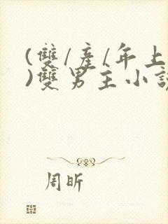 (双/产/年上)双男主小说