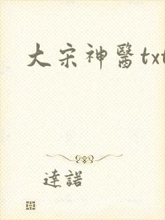 大宋神医txt