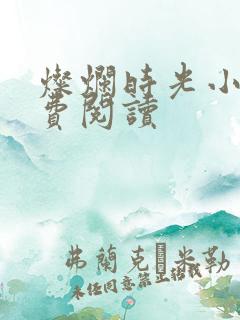 灿烂时光小说免费阅读